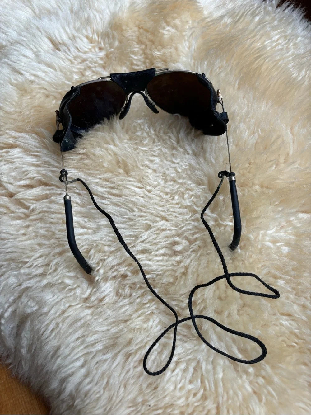 Vintage Julbo Mountaineering/Glacier Glasses